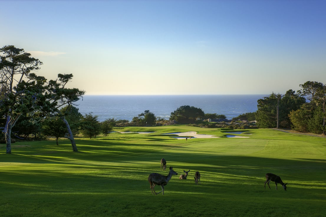 1st hole at Spyglass Hill