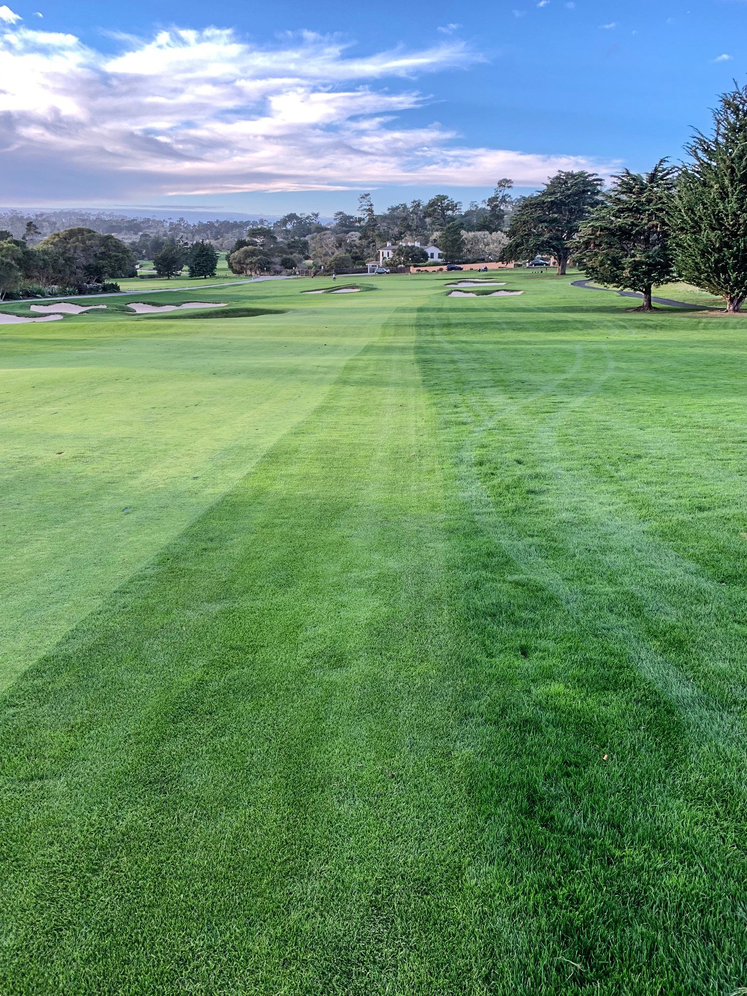 15th hole U.S. Open rough