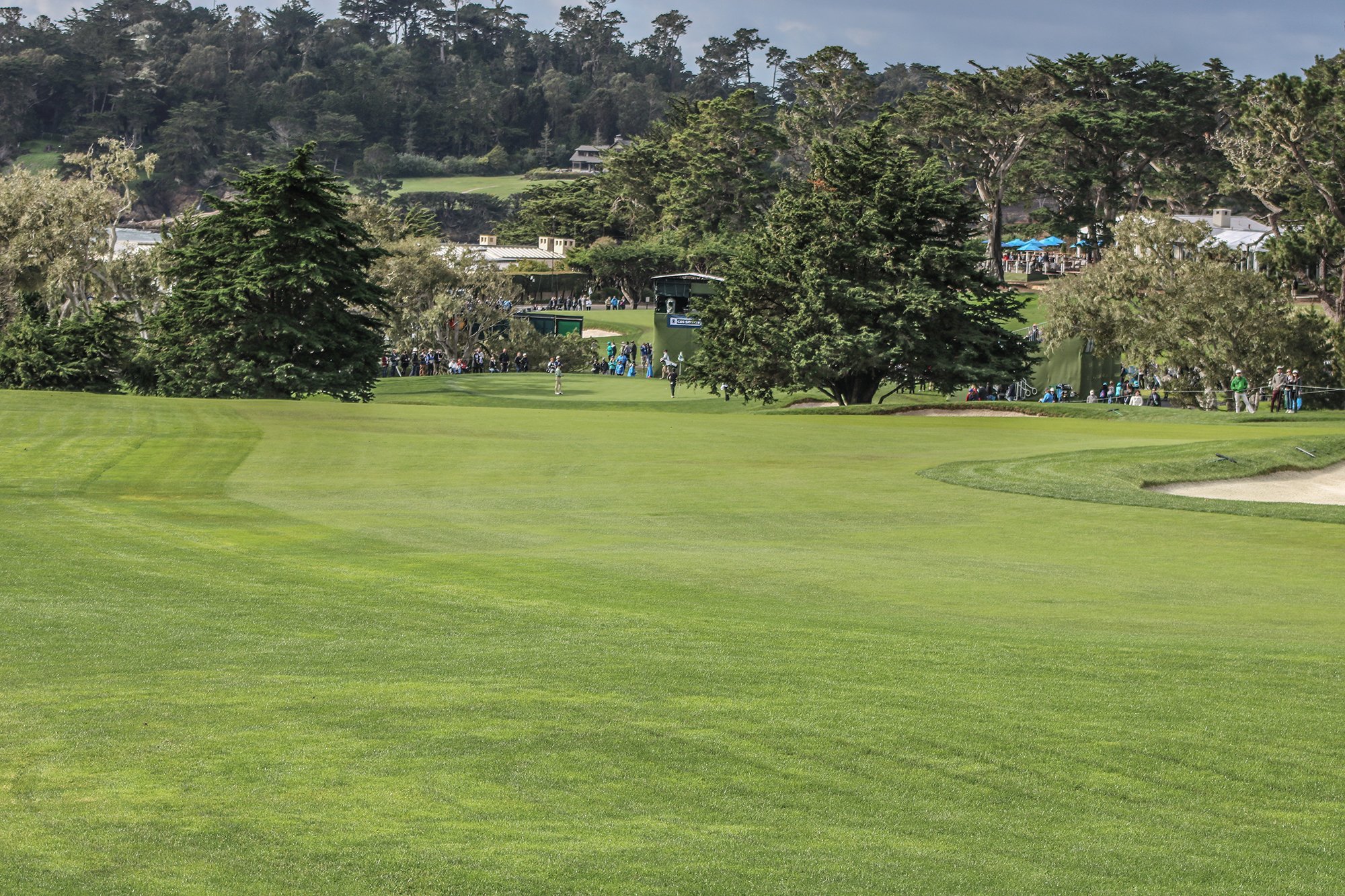 16th hole with U.S. Open rough