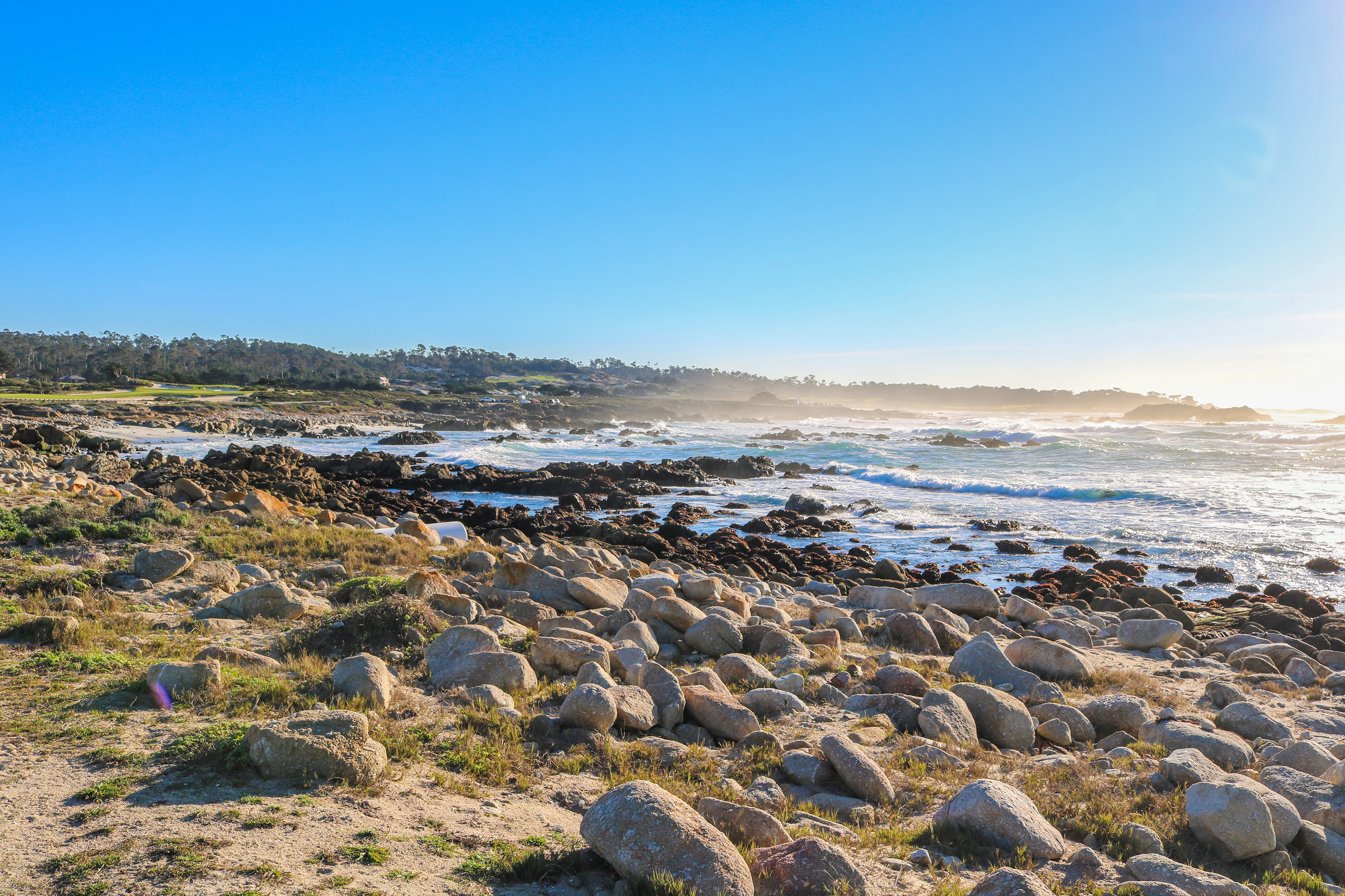 Tide Pools on 17-Mile Drive