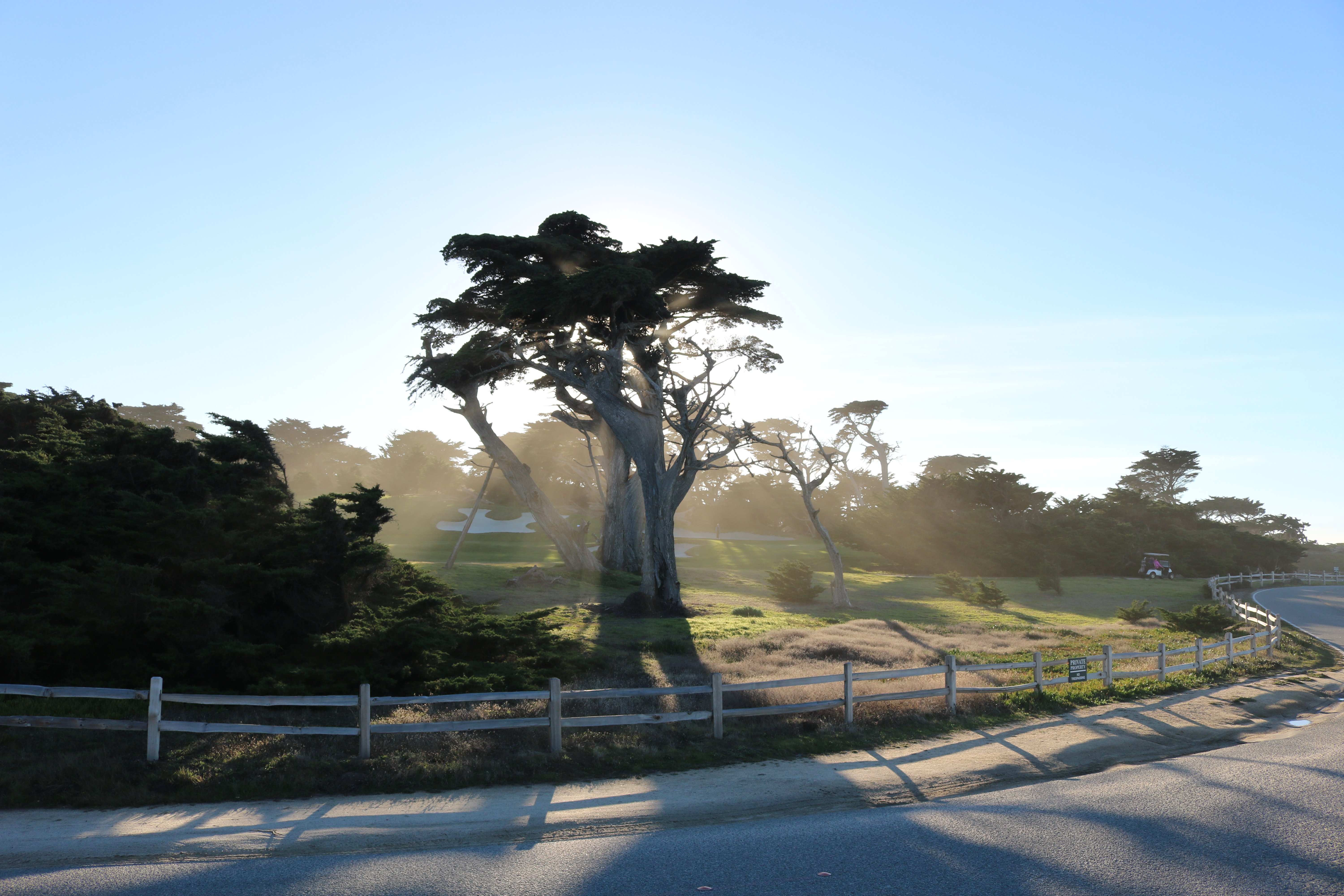 Cypress Point