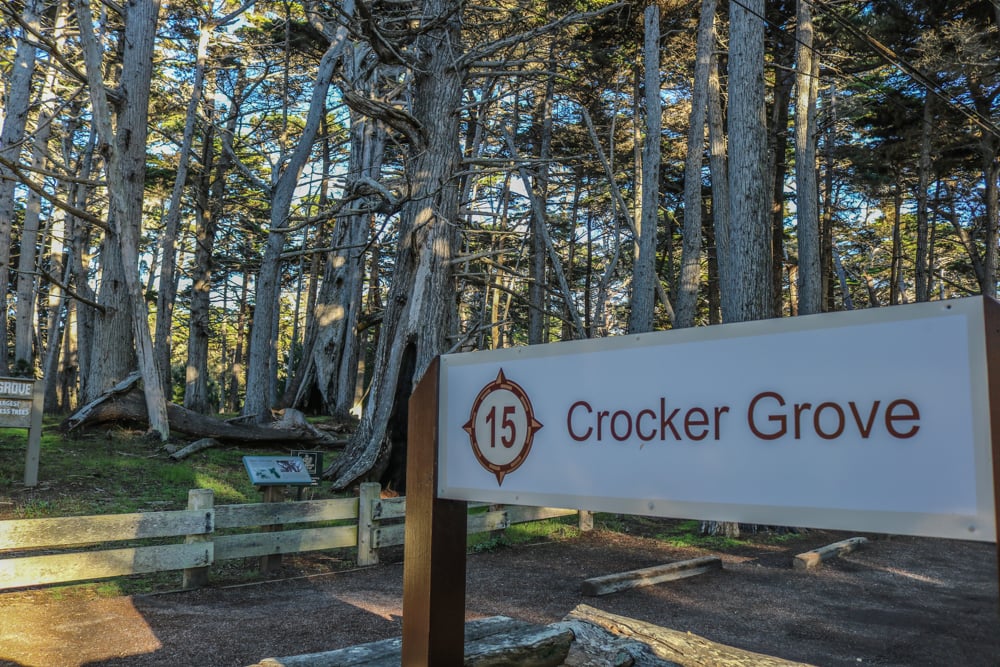 crocker-grove