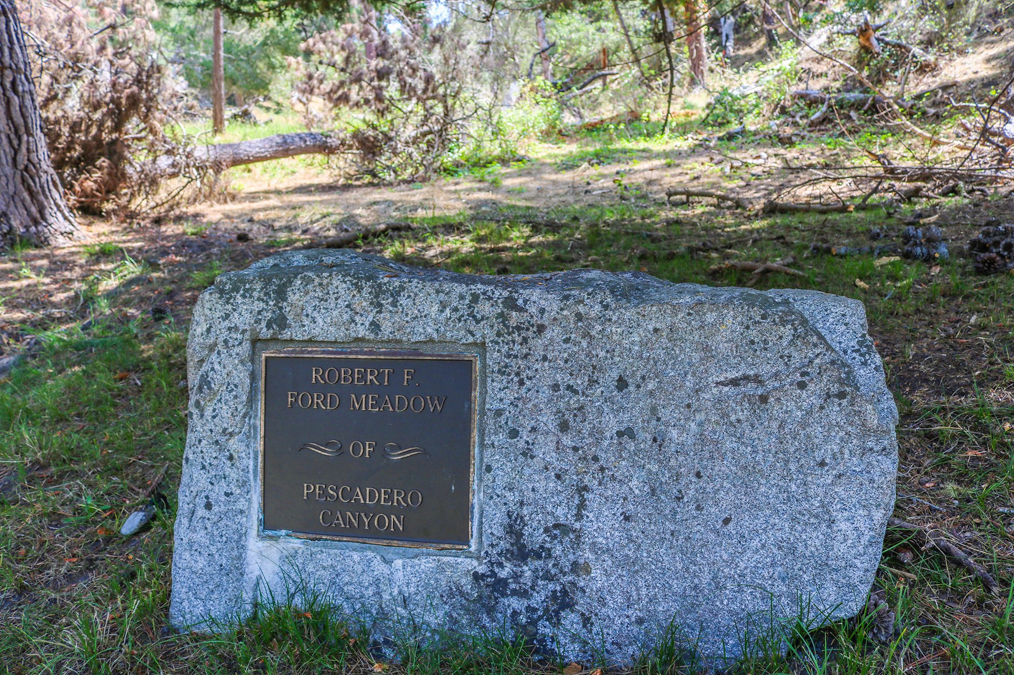 Ford Meadow on 17-Mile Drive