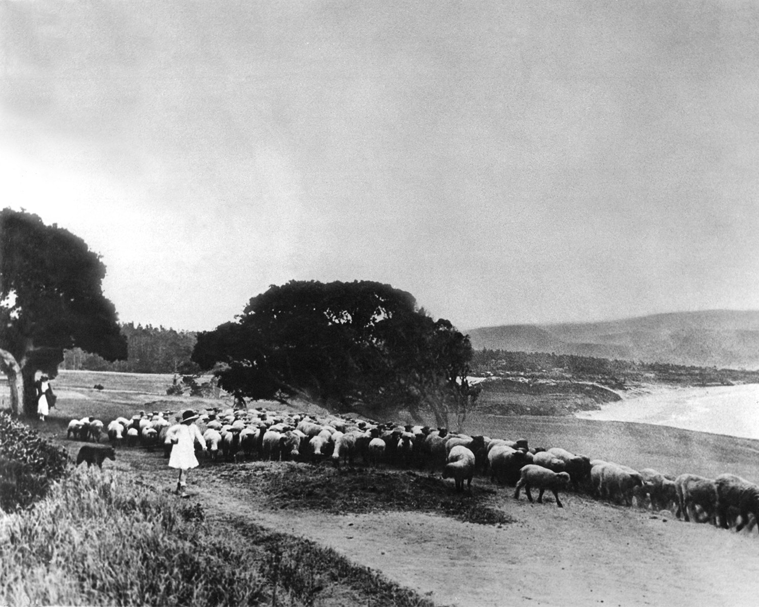 heritage_collection_h105_c_pebble_beach_company