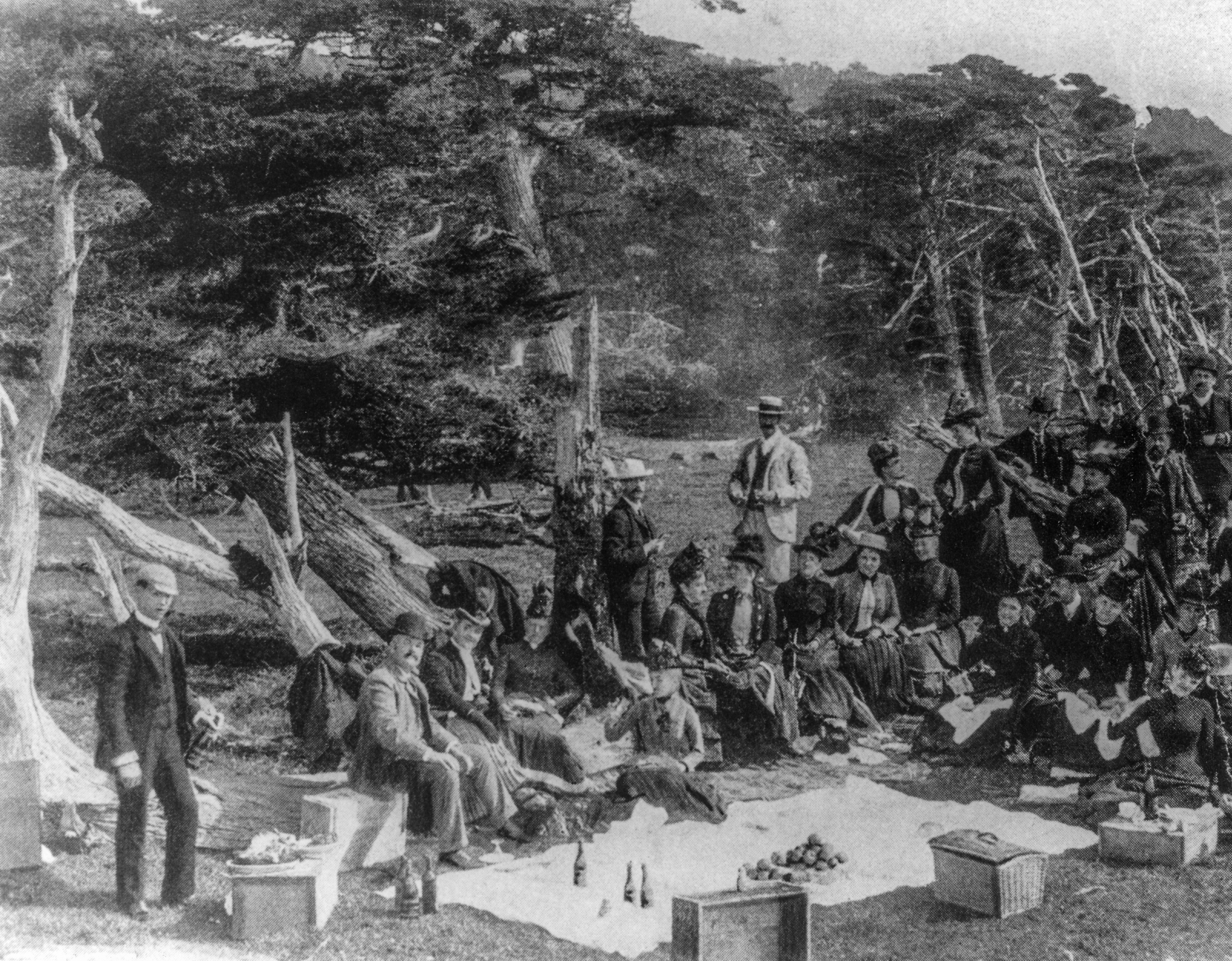 The History Of 17 Mile Drive In 17 Photos