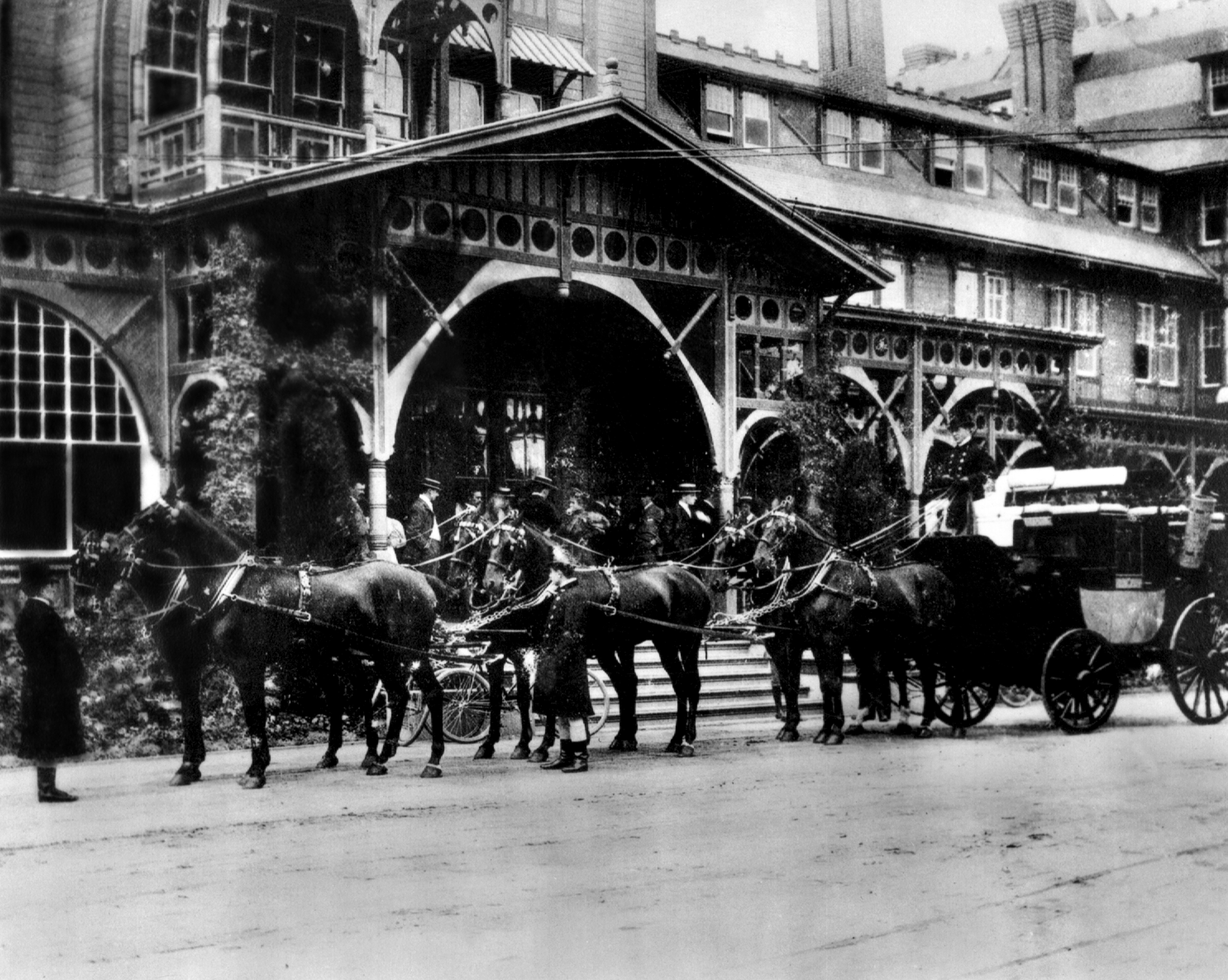 Horses leaving Hotel Del Monte