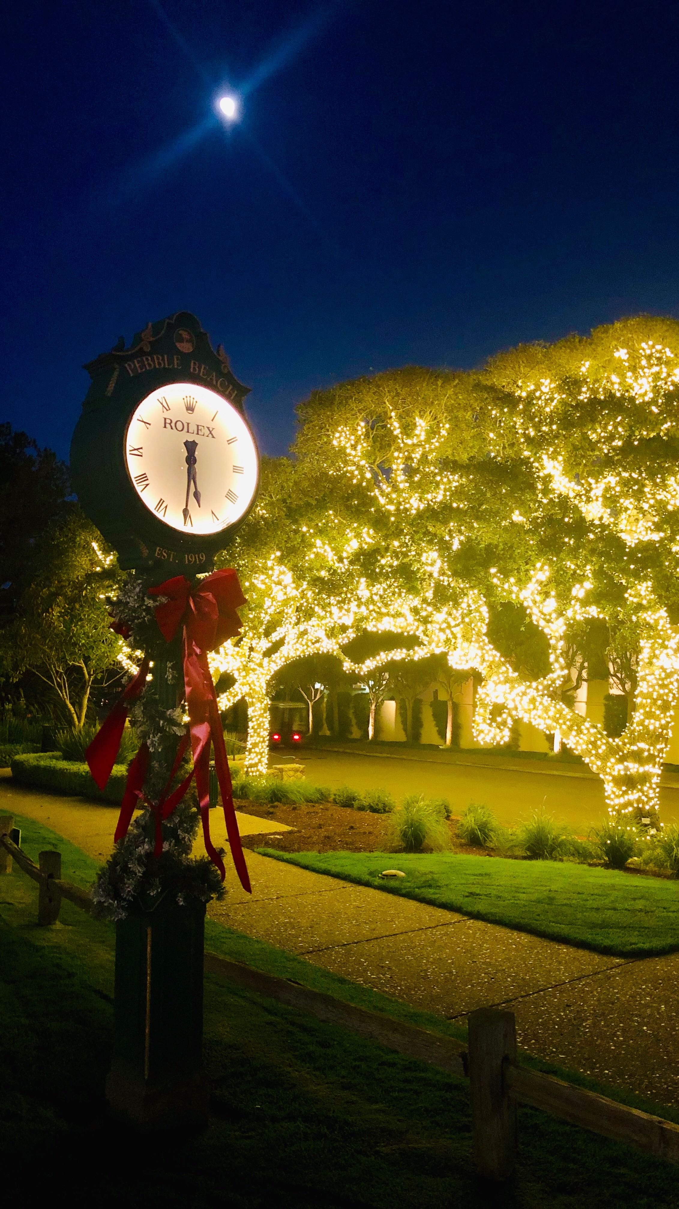 Trees lit at The Lodge