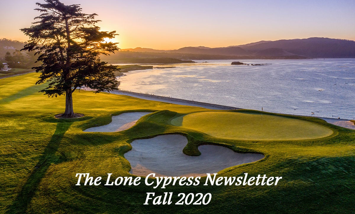 The Lone Cypress Newsletter - Fall 2020