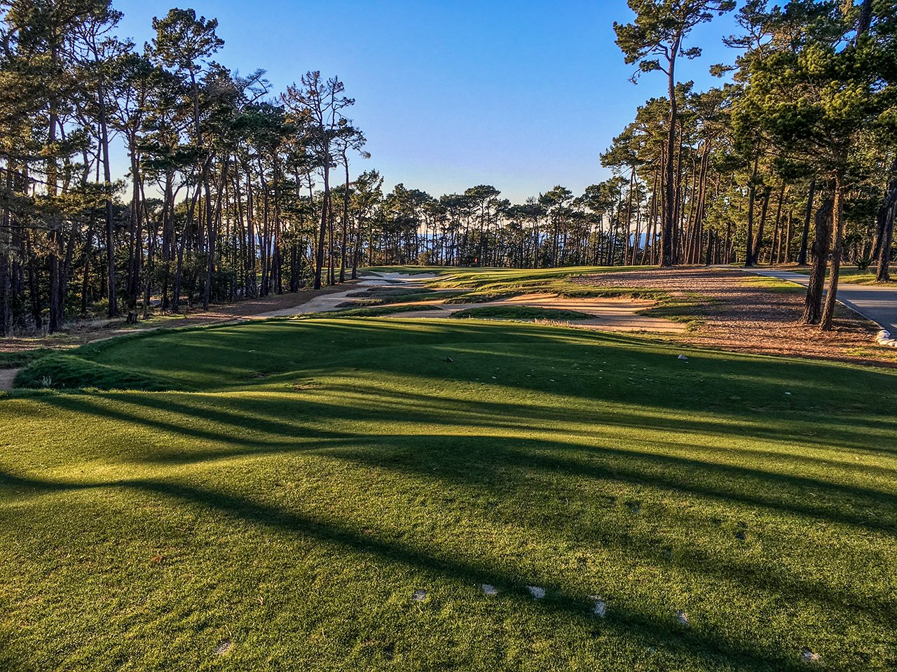 Green golf course fairway surrounded with skinny, tall trees casting a shadow on the grass.