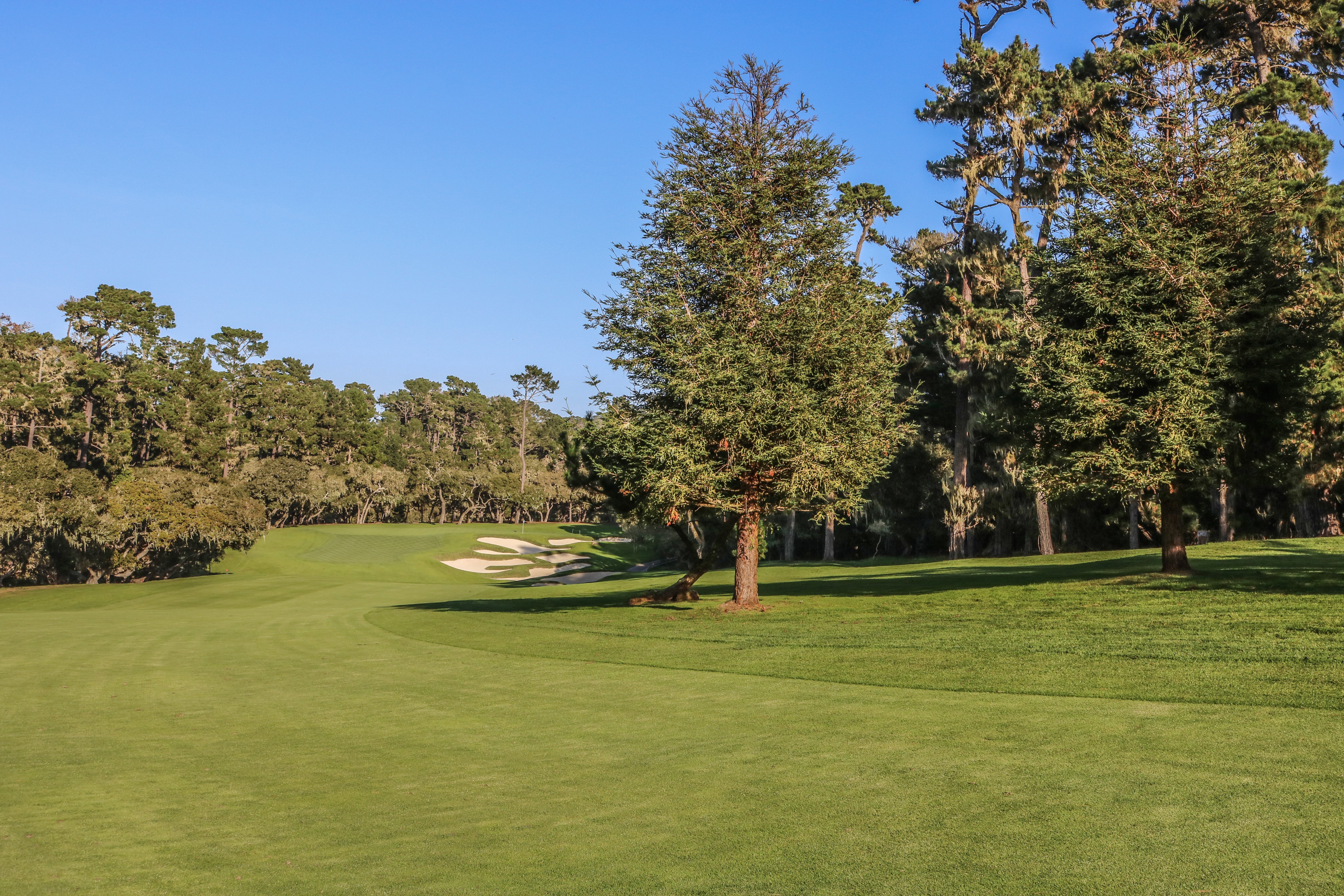 11th hole at Spyglass Hill