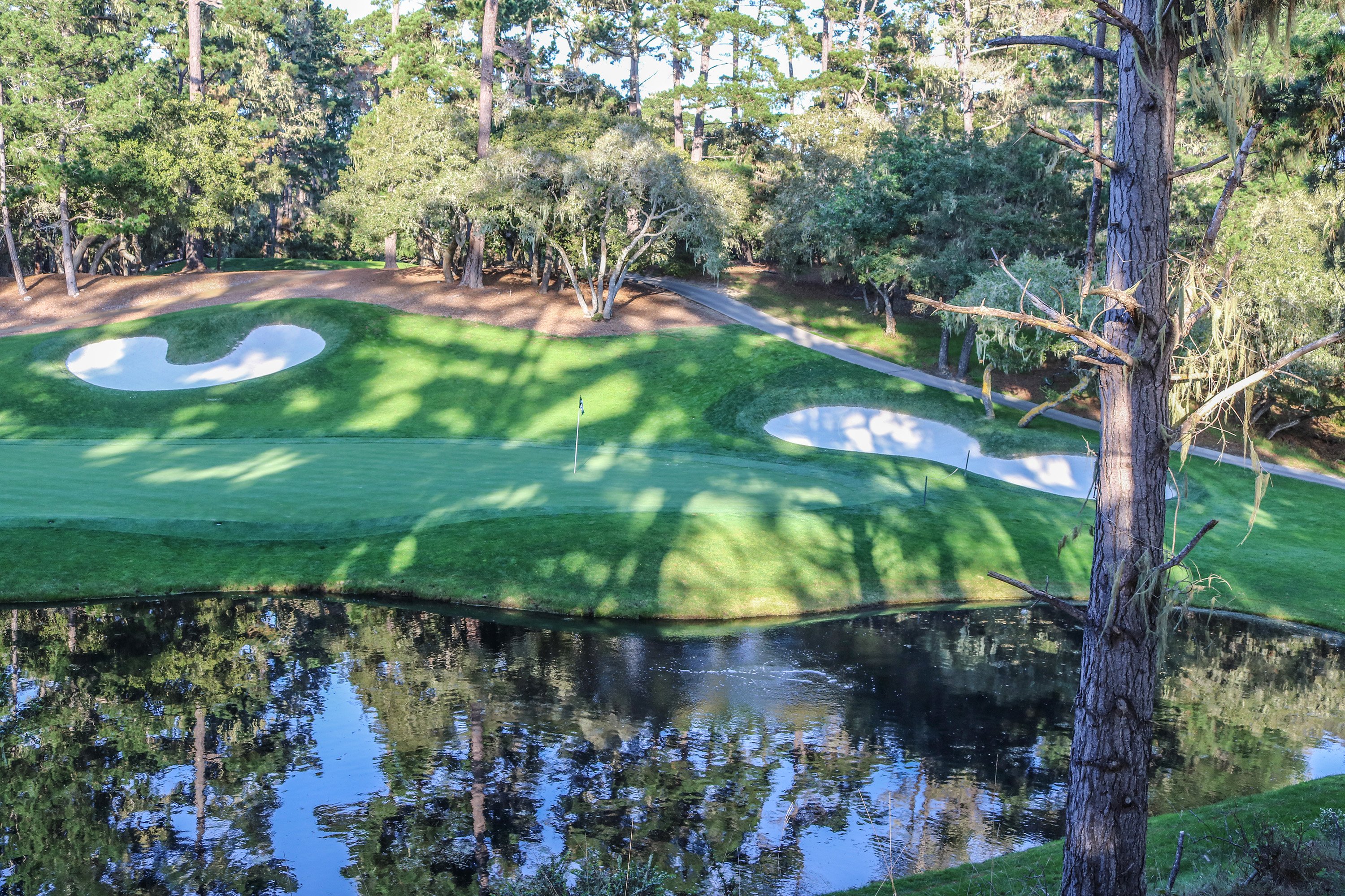 12th hole at Spyglass Hill