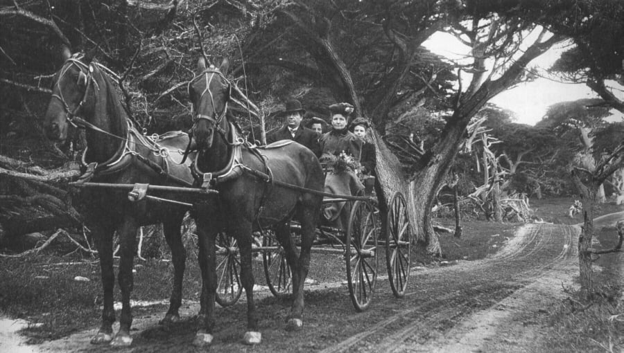horses on the original 17-mile drive