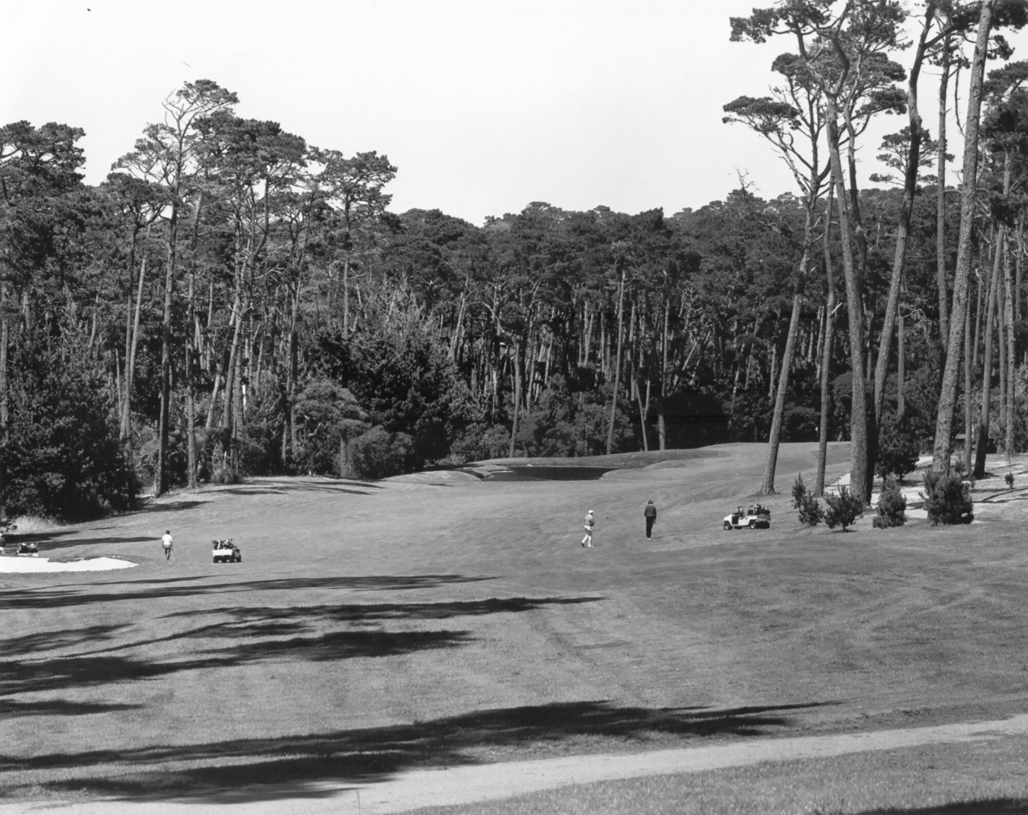 Spyglass Hill Golf Course - Pebble Beach Resort