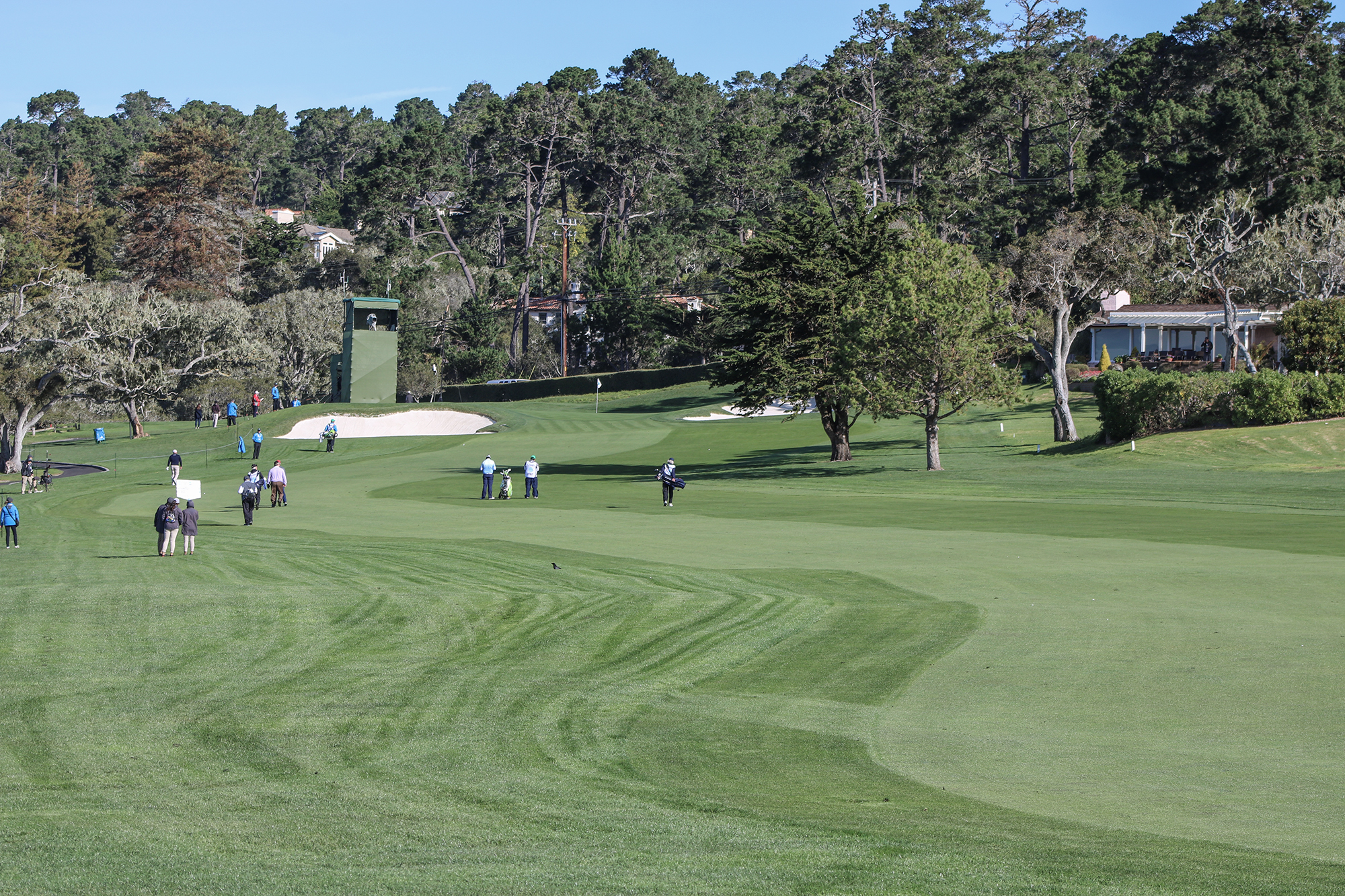 u.s. open rough on 14