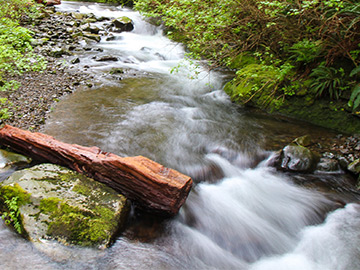 Water quickly flowing down stream 