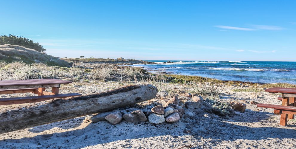 Large piece of wood on a bed of rocks with two red picnic tables, tall beach grass and the ocean in the background.