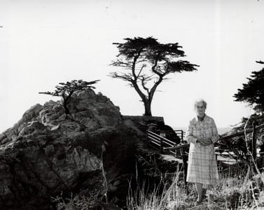 Lone Cypress Guardian Angel Mrs. Larkey standing by tree