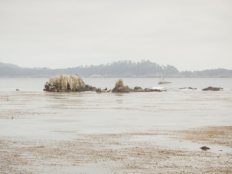 Stillwater cove on a foggy afternoon