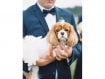 Man in tuxedo holding dog in dress