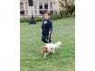 Ring bearer walking dog down aisle