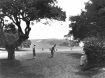 Old 6 tee at Pebble Beach