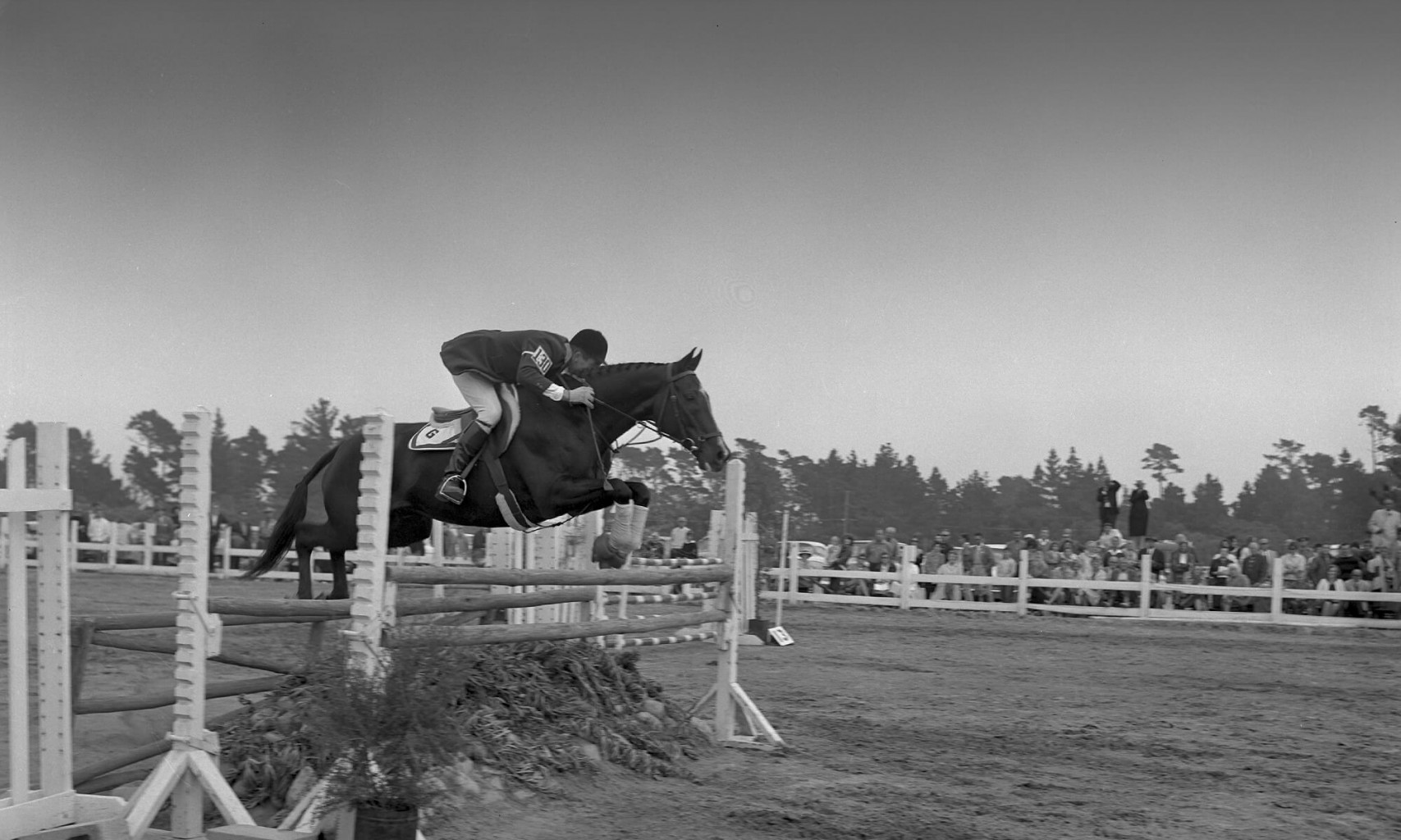 Our Story Pebble Beach Equestrian Center Our Story Pebble Beach Equestrian Center