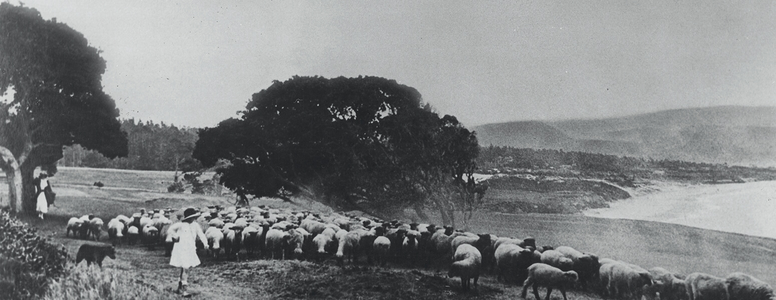 black and white photo of pebble beach showing small girl and sheep