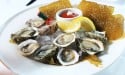 plate of oysters