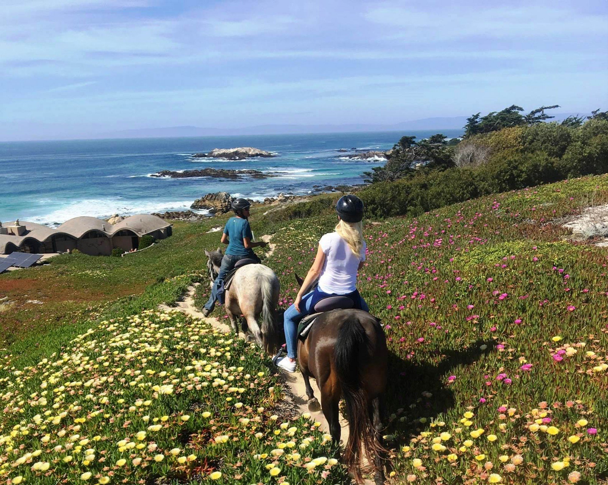 Pebble Beach Horseback Tours