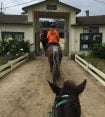 Pebble Beach Equestrian Center on 17-Mile Drive